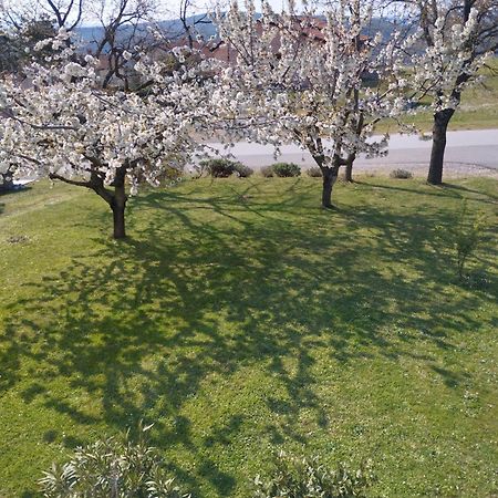 RočDaal公寓 外观 照片